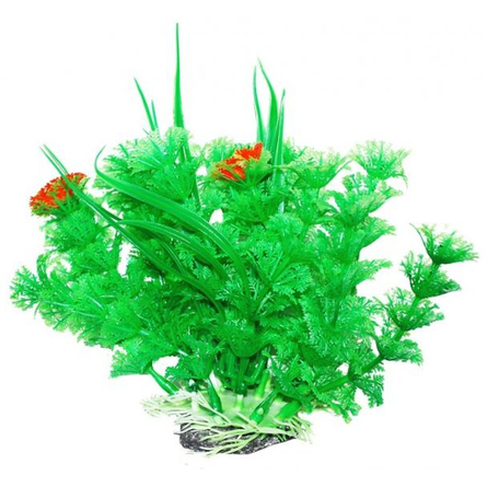 УЮТ Растение аквариумное Амбулия зеленая с кружевными листьями – интернет-магазин Ле’Муррр