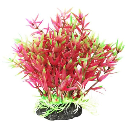 УЮТ Растение аквариумное Гемиантус фиолетово-зеленый, 12 см – интернет-магазин Ле’Муррр