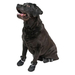 ЧИП Обувь для собак №3, черная (пара) – интернет-магазин Ле’Муррр