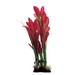 ArtUniq Искусственное растение из шелка Эхинодорус красный, 40 см – интернет-магазин Ле’Муррр