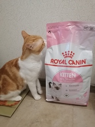 Пользовательская фотография №2 к отзыву на Royal Canin Kitten Корм сухой сбалансированный для котят в период второй фазы роста до 12 месяцев